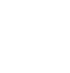 Visual Inspection  Icon