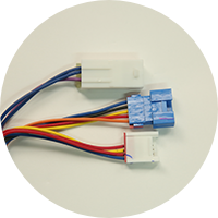 Zdjęcie Sekcja EEV&EVA